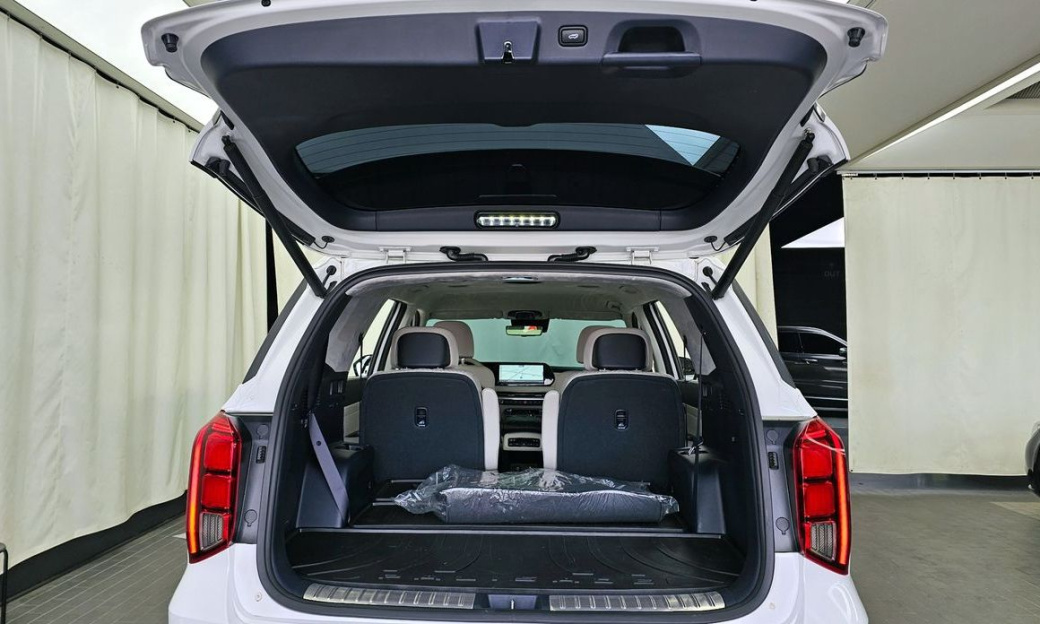 Hyundai Palisade Diesel 2.2 4WD, 2024