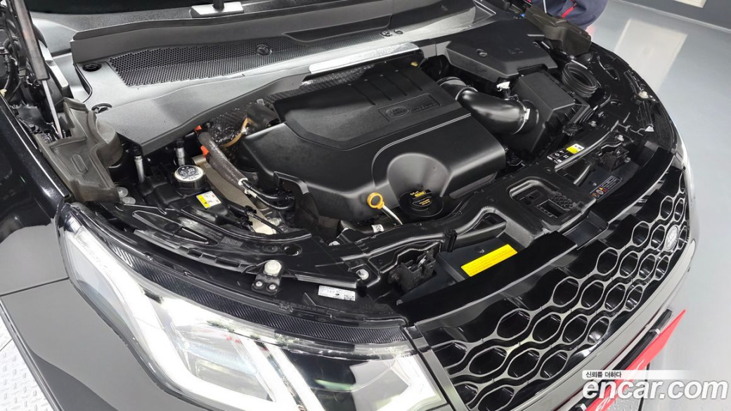 Land Rover Discovery Sport P250 Dynamic SE, 2025