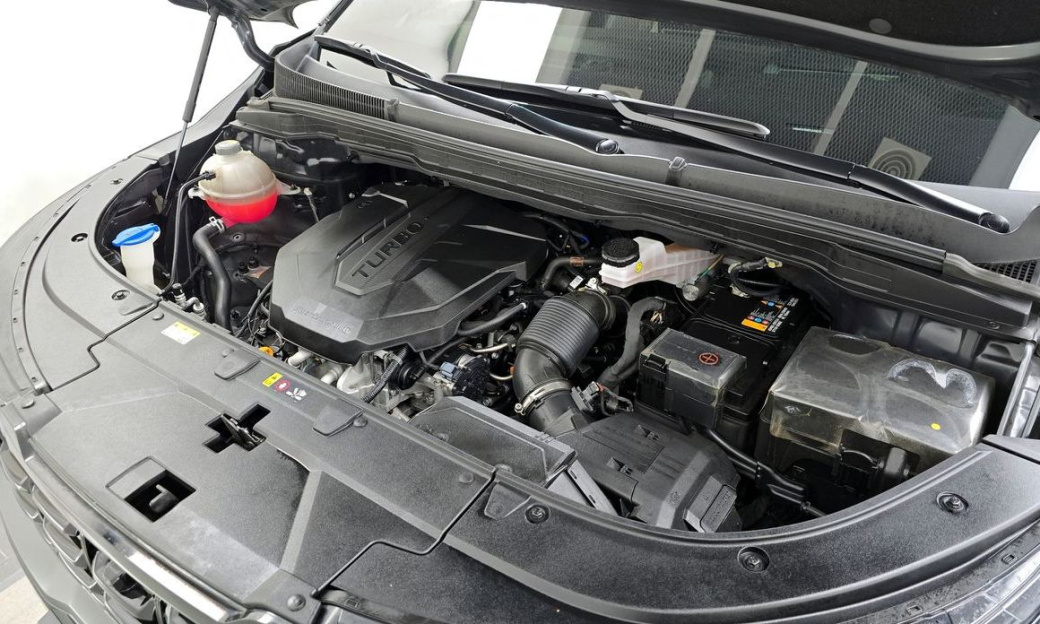 Kia Carnival 7-Seater Gravity, 2024