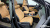 Kia Carnival 9-Seater Signature, 2023