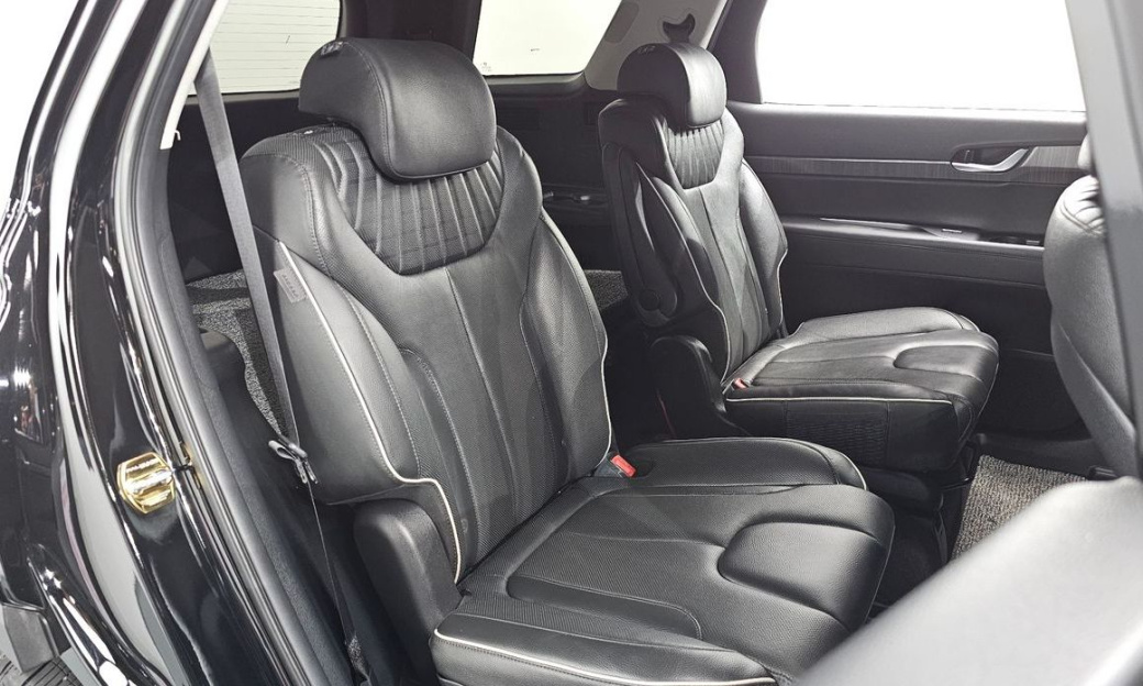 Hyundai Palisade Diesel 2.2 2WD, 2024