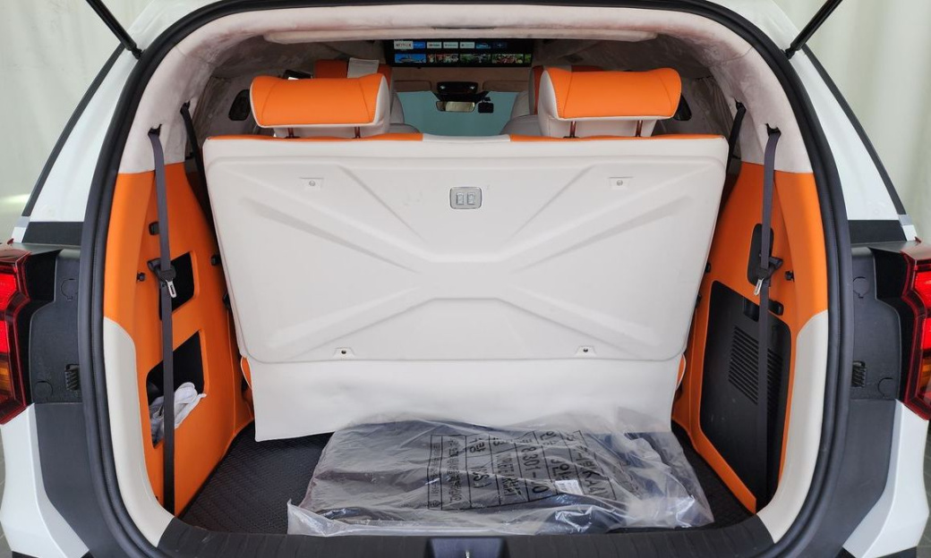 Kia Carnival 9-Seater Prestige, 2024