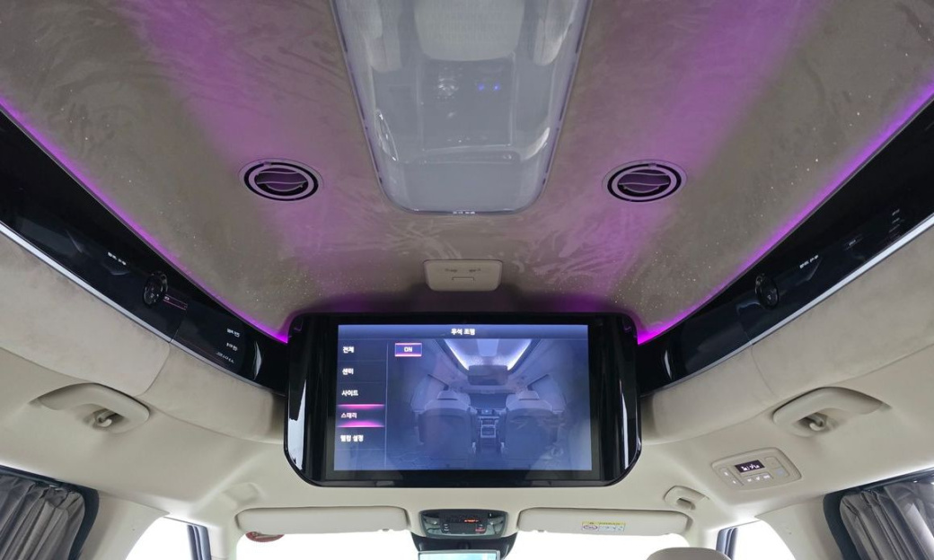 Kia Carnival 9-Seater Hi Limousine, 2025
