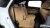 Kia Sorento Gasoline 2.5T 2WD, 2023