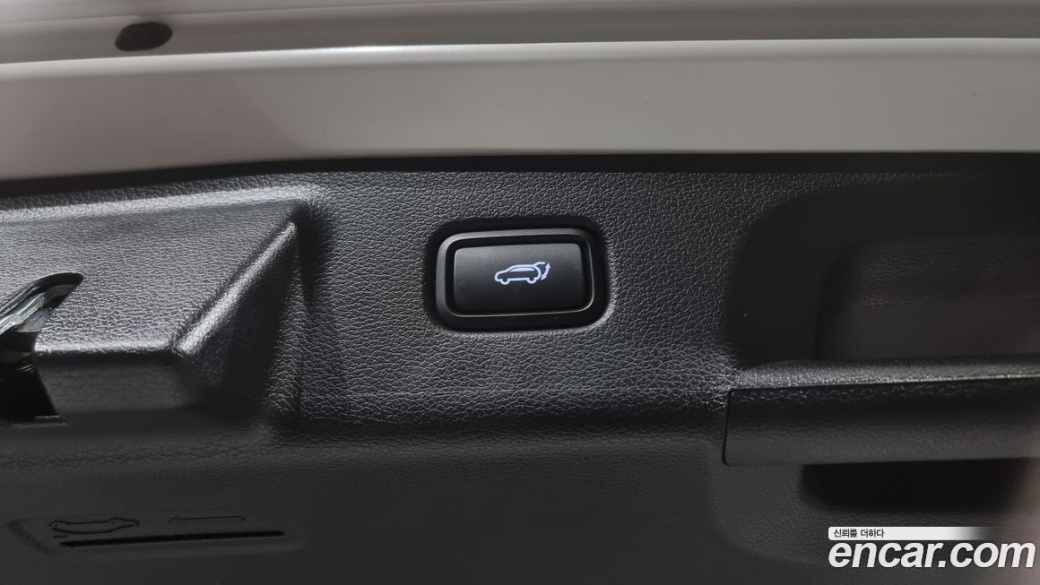 Hyundai Palisade Diesel 2.2 2WD, 2024