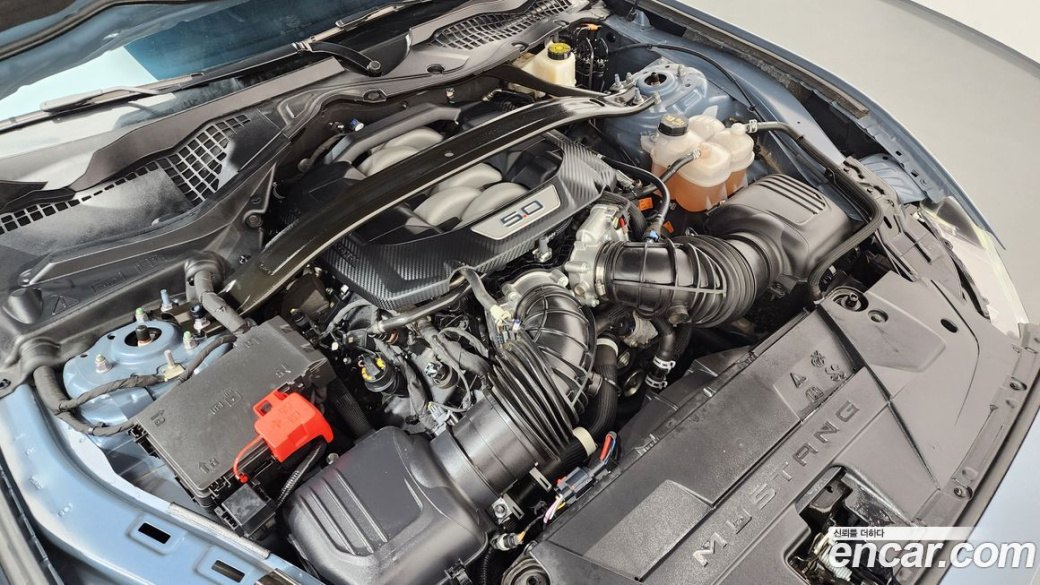 Ford Mustang 5.0 GT Premium Coupe, 2024