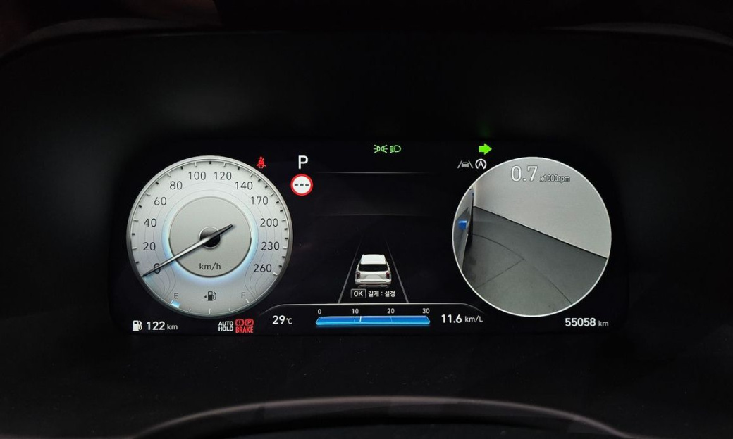Hyundai Palisade Diesel 2.2 2WD, 2024