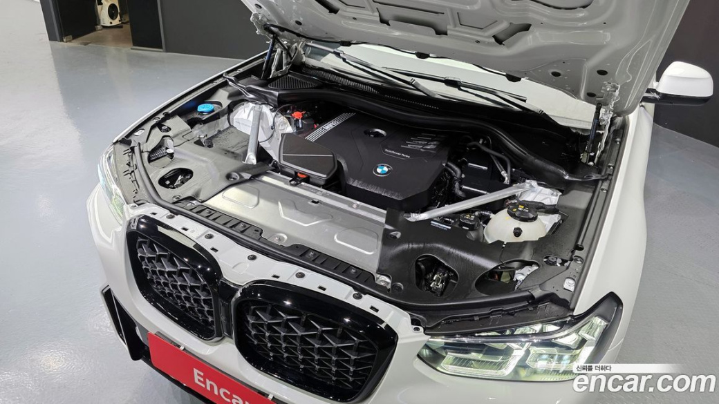 BMW X4 xDrive20i M Sport Pro Special Edition, 2025