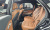 Genesis GV70 2.5T Gasoline 2WD, 2024