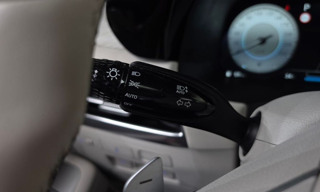 Hyundai Palisade Diesel 2.2 2WD, 2024