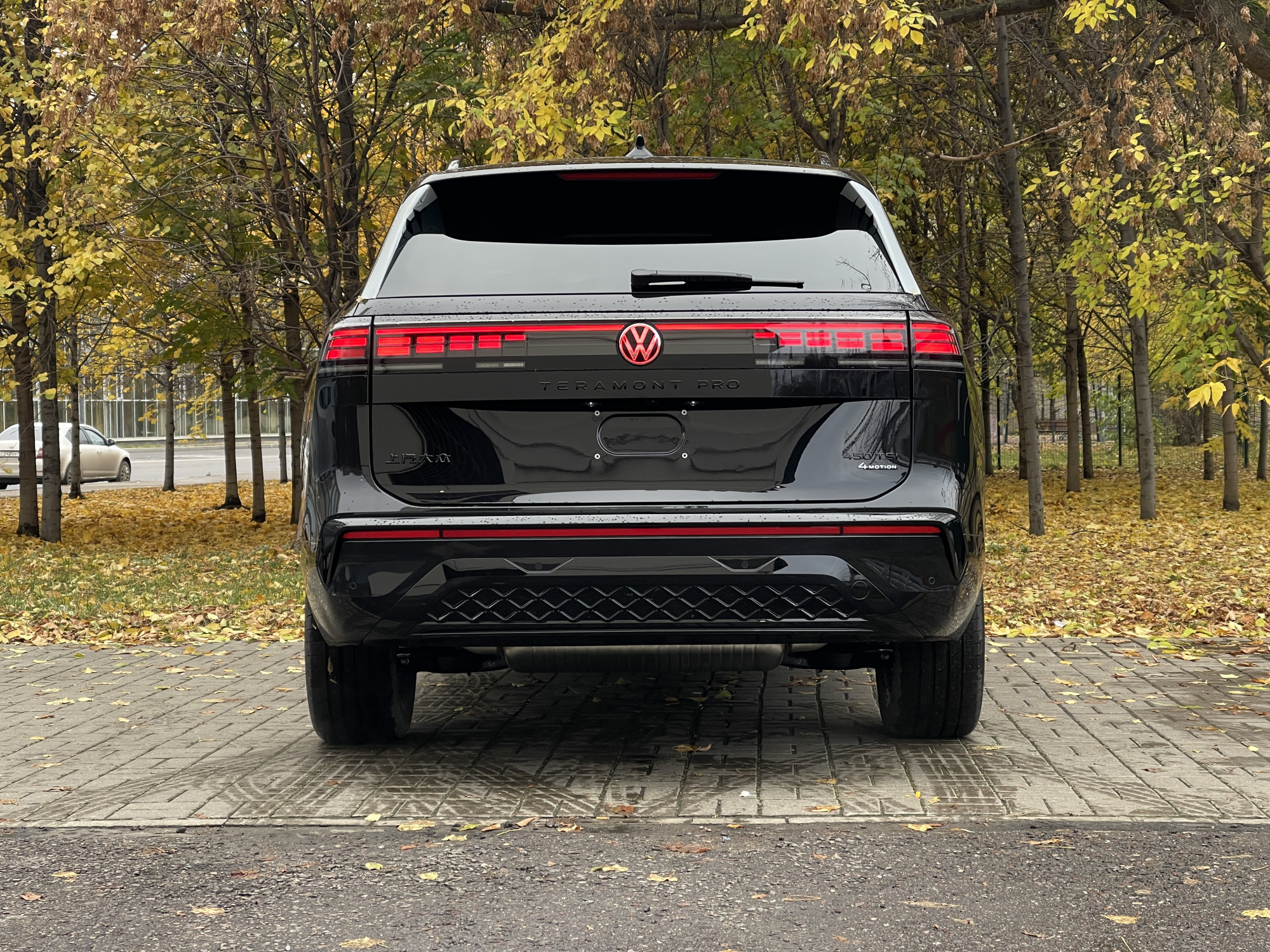 Volkswagen Teramont Pro