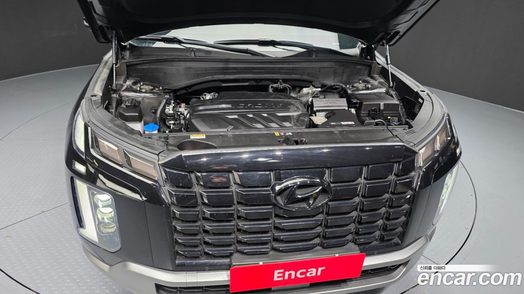 Hyundai Palisade Diesel 2.2 2WD, 2024