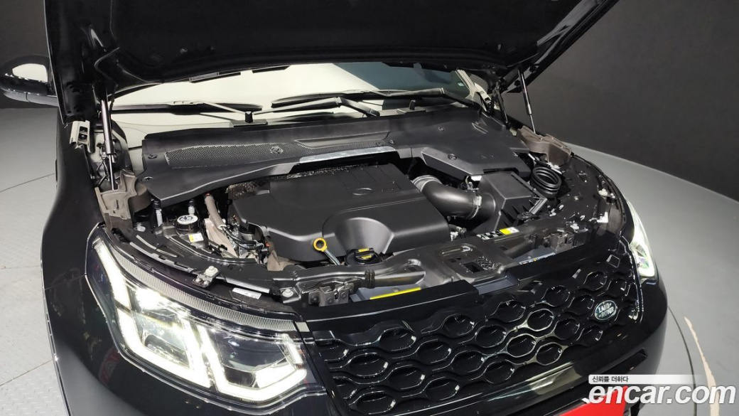 Land Rover Discovery Sport P250 Dynamic SE, 2024