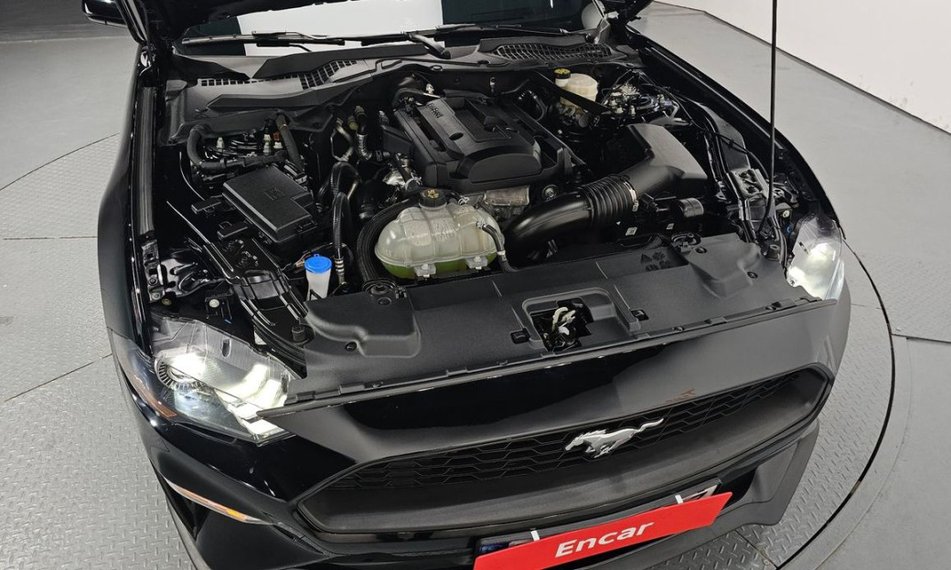Ford Mustang Coupe, 2023