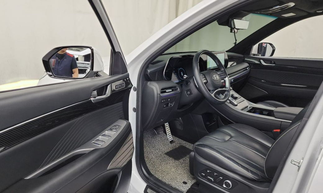 Hyundai Palisade Diesel 2.2 2WD, 2024