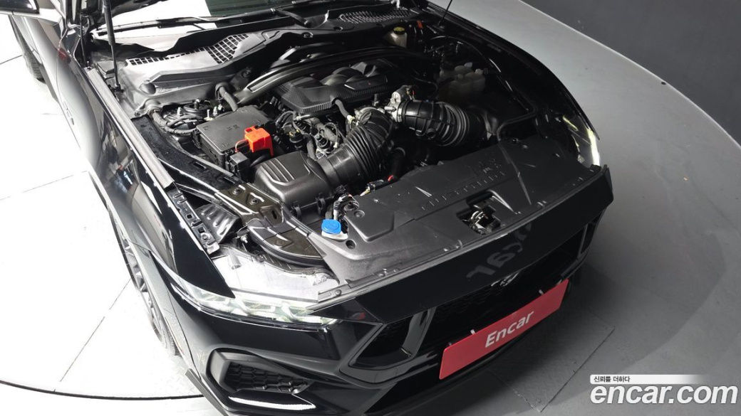 Ford Mustang 5.0 GT Premium Coupe, 2024