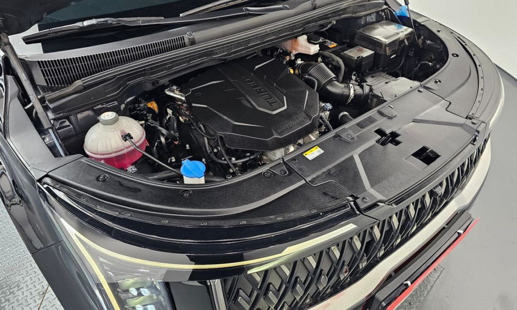 Kia Carnival 9-Seater Hi Limousine, 2024
