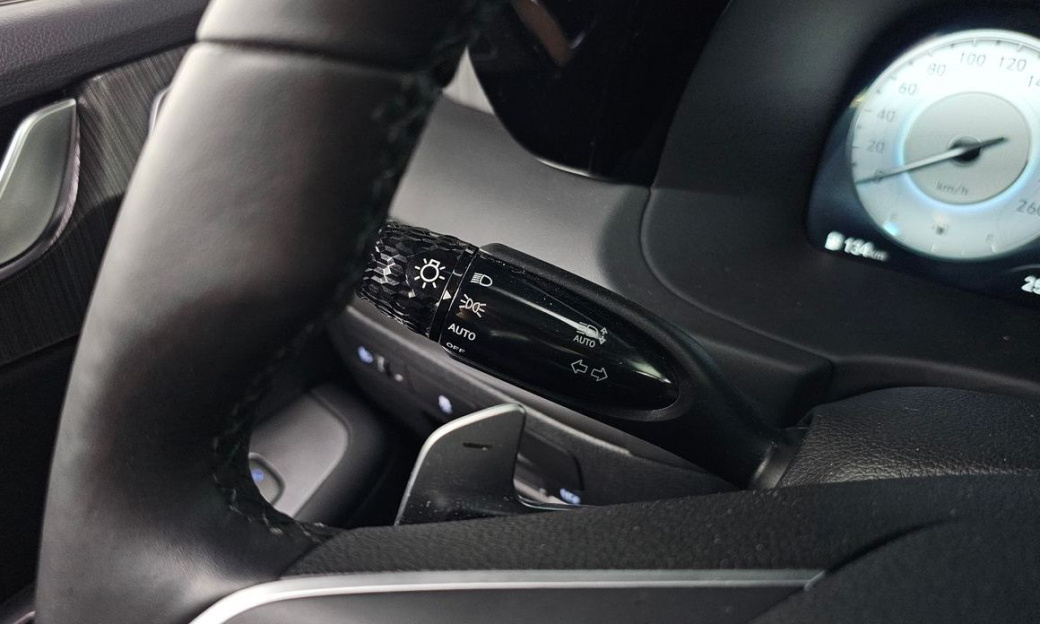 Hyundai Palisade Diesel 2.2 2WD, 2024