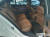 Mercedes-Benz E-Class E250 Exclusive, 2023