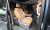 Hyundai Staria Lounge 9-Seater, 2023