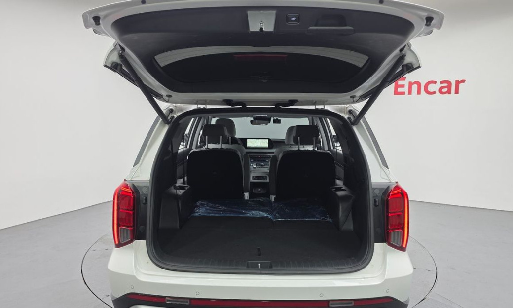 Hyundai Palisade Diesel 2.2 2WD, 2024