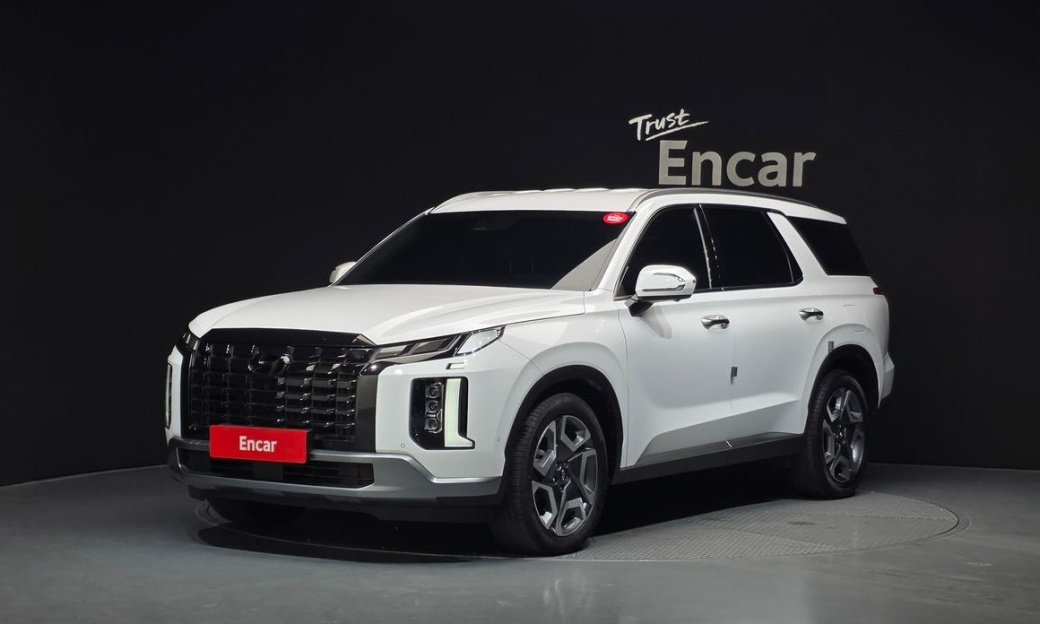 Hyundai Palisade Diesel 2.2 2WD, 2024