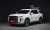 Hyundai Palisade Diesel 2.2 2WD, 2024