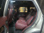 Land Rover Range Rover P530 Autobiography, 2024