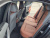 BMW 5-Series 530i xDrive M Sport, 2025