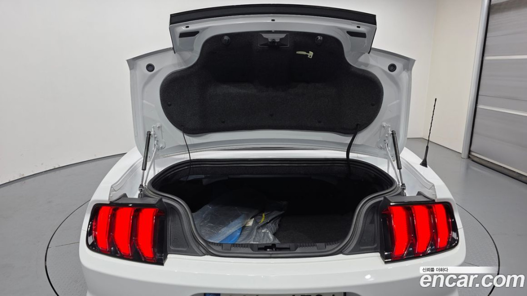 Ford Mustang Convertible, 2021