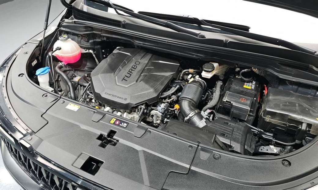 Kia Carnival 9-Seater Signature, 2024