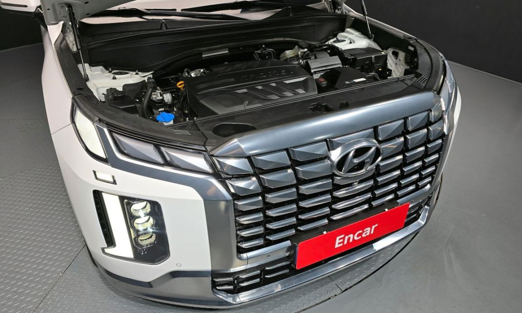 Hyundai Palisade Diesel 2.2 2WD, 2024