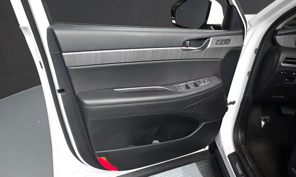 Hyundai Palisade Diesel 2.2 2WD, 2024