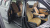 Kia Carnival 7-Seater Signature, 2023