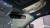 Genesis GV80 2.5T Gasoline 2WD, 2025