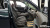 Hyundai Palisade Diesel 2.2 4WD, 2023