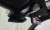 BMW X5 xDrive 40i M Sport, 2024