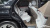 Genesis GV70 2.5T Gasoline AWD, 2025